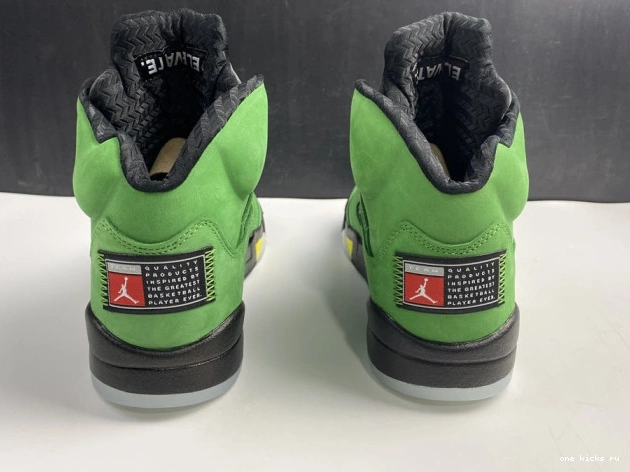 Chep Onekick SE Jordan Air Ducks Oregon 5 CK6631-307 0531